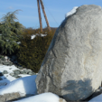 Žula Z81 solitérny kameň