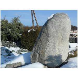 Žula Z81 solitérny kameň